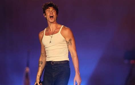 shawn mendez penis|Shawn Mendes says he 'really suffered' having his sexuality.